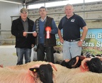 Ewe Lamb Mayo Connemara type 1st place