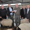  Ewe Lamb Mayo Connemara 2nd place